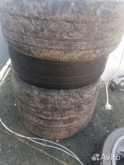 Bridgestone Blizzak DM-V1 215/55 R17