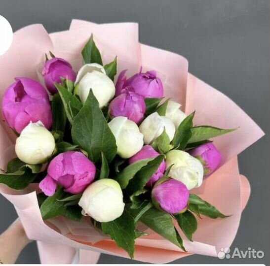 Пионы россия очень стойкие