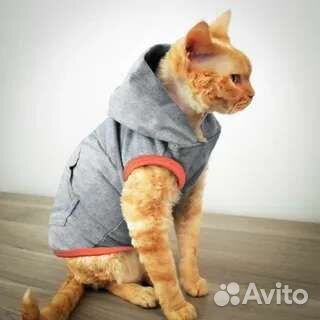 Одежда для кошек и собак ручная работа