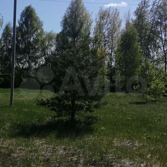 Участок 15 сот. (ИЖС)