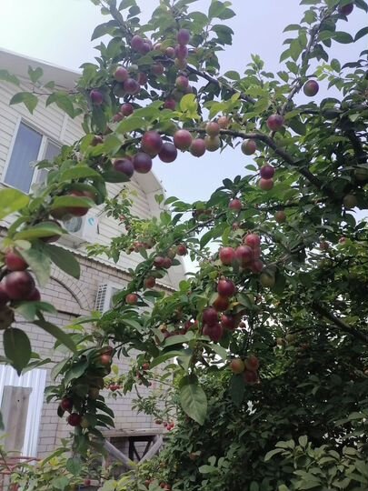 Дом 158,7 м² на участке 5 сот.