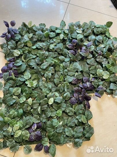 Флористика