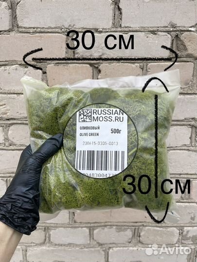 Стабилизированный мох, Зелёное Яблоко