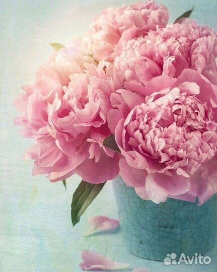 Картины по номерам на холсте