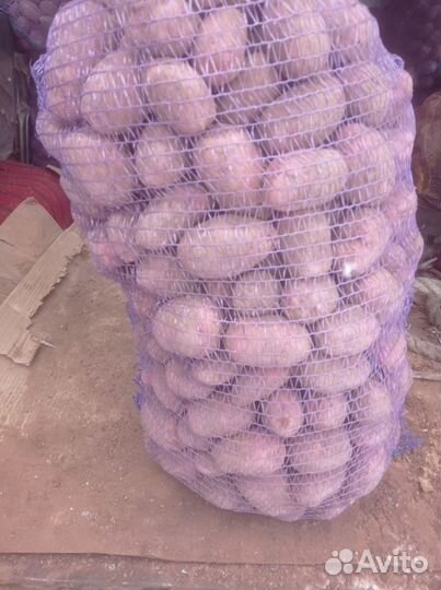 Продам картофель домашний