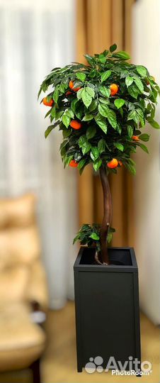 Декоративное дерево Мандарин 150-160 см