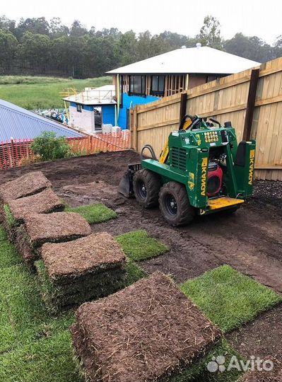 Рулонный газон 3-х летний