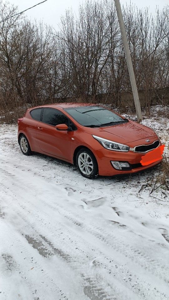 Kia Ceed: фото владельца