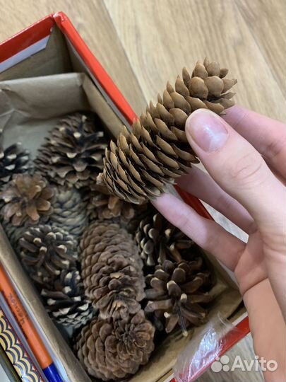 Шишки для поделок