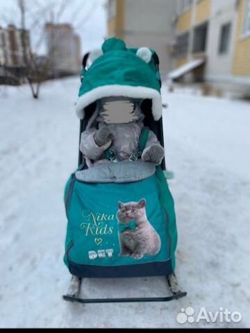 Детские санки коляска