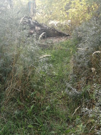 Участок 6,2 сот. (СНТ, ДНП)