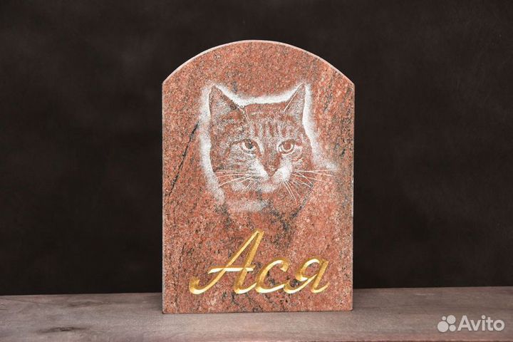 Памятник для животного