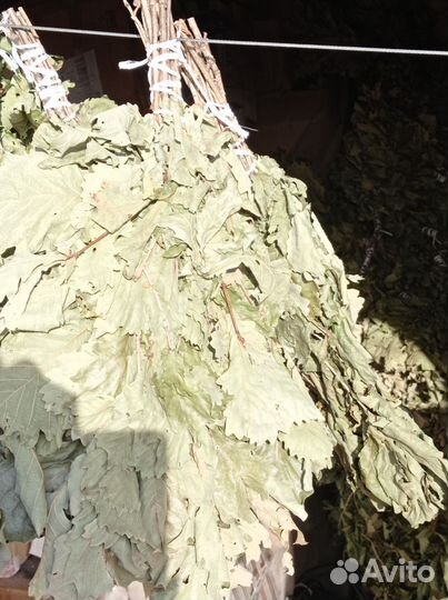 Дубовые веники для бани