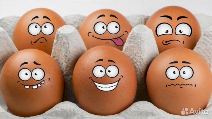 Упаковщик(ца) палетов для яиц,вахта,жилье,питание