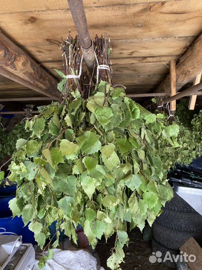 Веники для бани