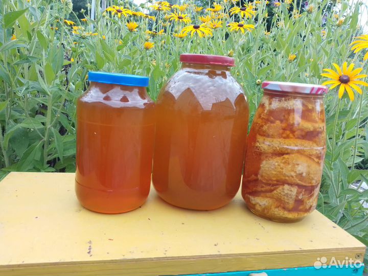 Мед майский