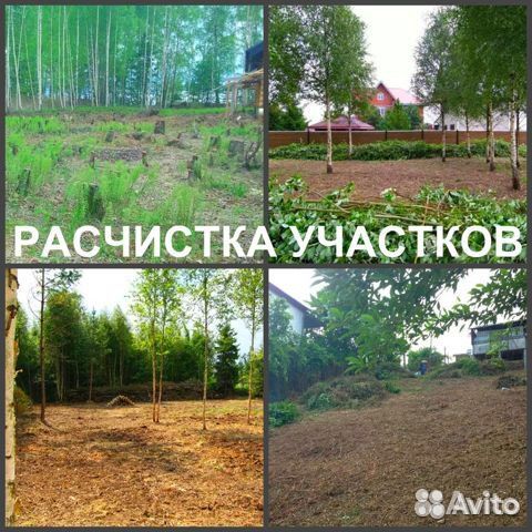 Спиливание, вырубка деревьев