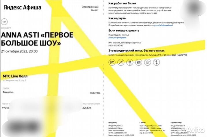 Билет на концерт анна асти