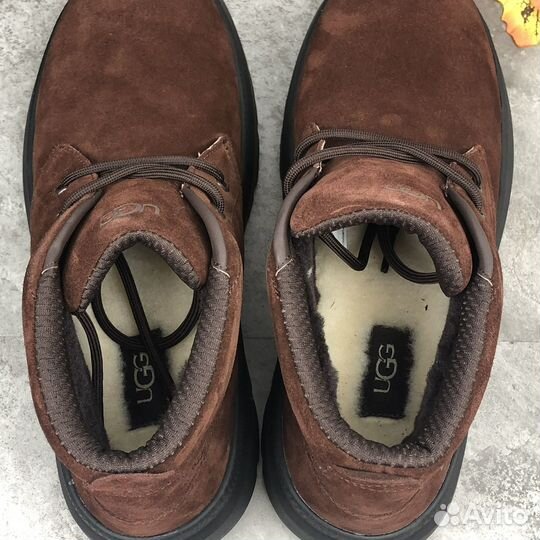 Ugg Mens Burleigh Chukka Dusty Cocoa