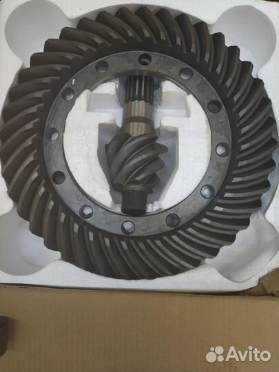 Коническая пара - малайзия