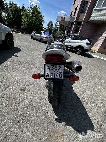 Honda cb600s hornet
