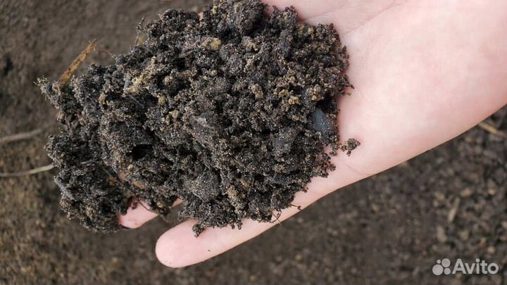 Земля плодородная