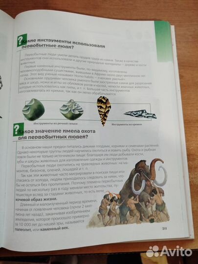 Большая книга вопросов и ответов. Энциклопедия