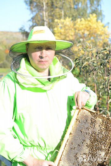 Обслуживание вашей пасеки пчеловод