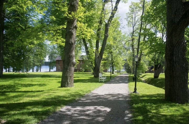 Участок 20 сот. (ИЖС)