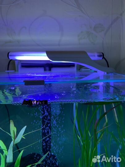 Аквариум Aquael 50 литров, куб