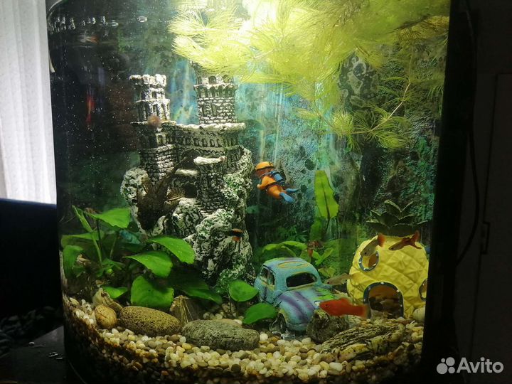Аквариум