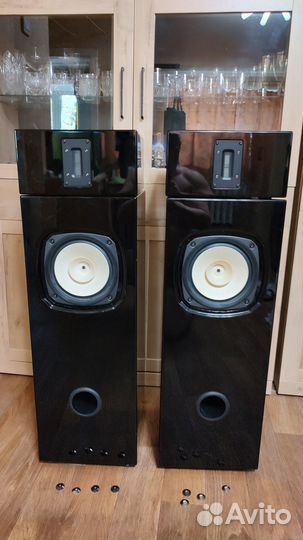 Акустические колонки на базе FostexFE206En