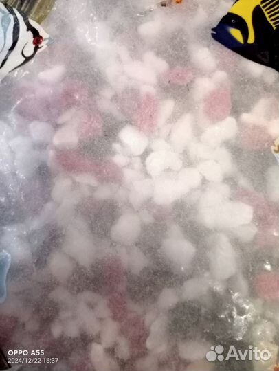 Водоросли и камни для аквариума