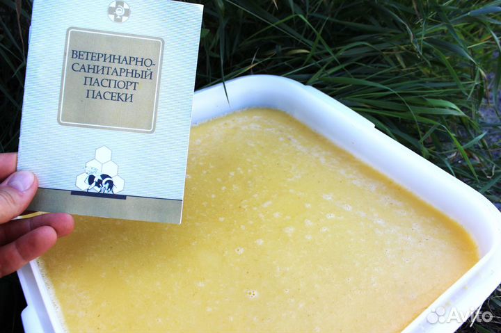 Мёд - своя пасека - оптом, от 1 кг. Омск