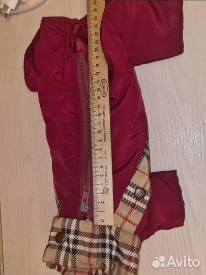 Комбезики для маленьких собак и шлейка на котенка