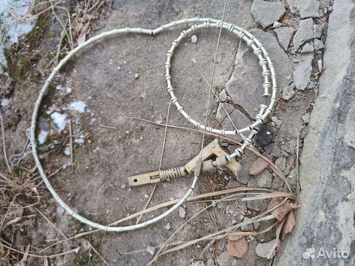 Антенна куликова