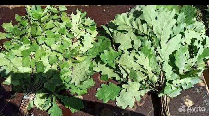 Банные веники