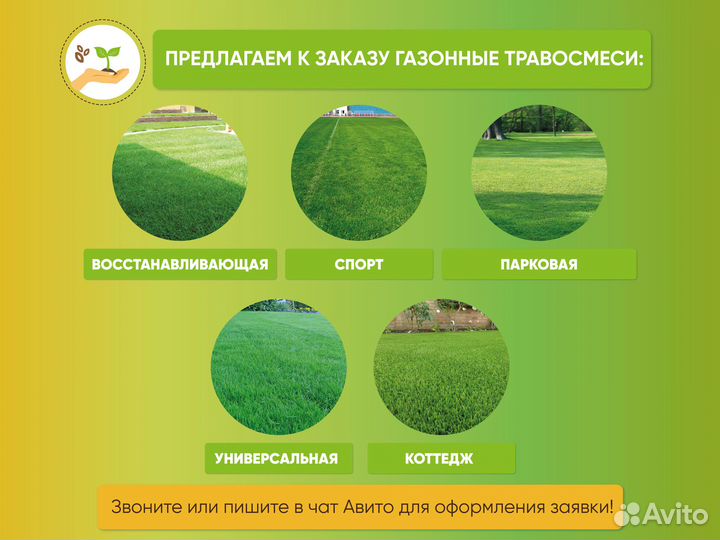 Семена эспарцета