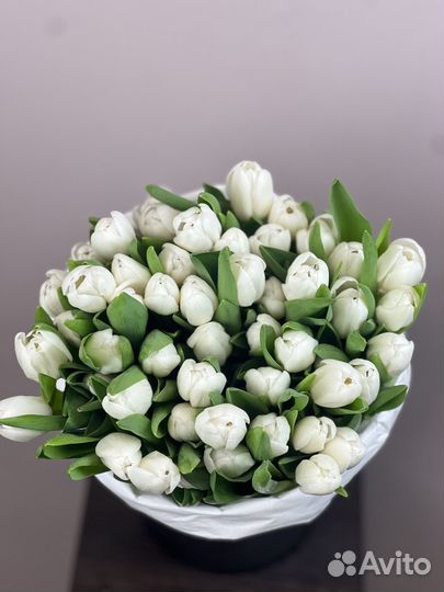 Тюльпаны в москве