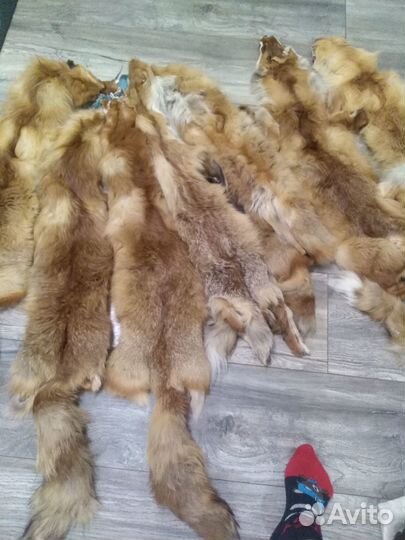 Лисьи шкуры