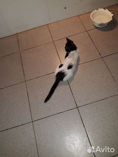 В добрые ручки