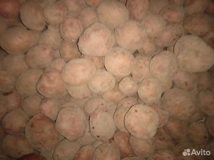 Картофель оптом прошлый сезон