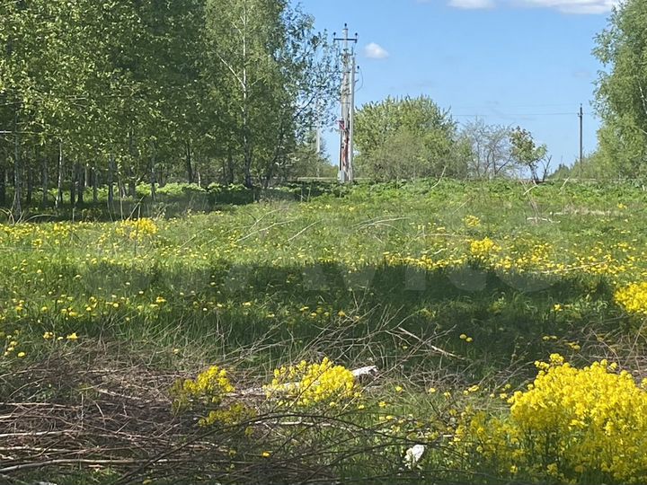 Участок 6 га (СНТ, ДНП)