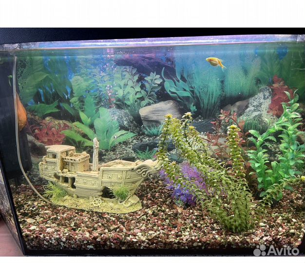 Аквариум на 100 литров с аксессуарами