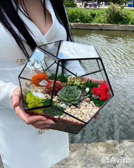 Флорариум. Подарок. Цветы. Суккуленты. Букет