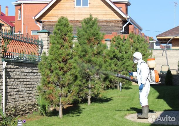 Обработка Уничтожение клещей, муравьев Дезинфекция