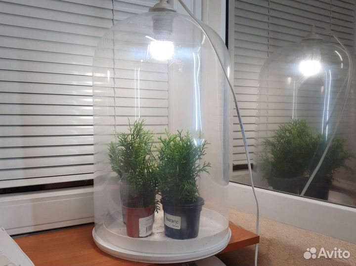 Мини теплица. Мини парник