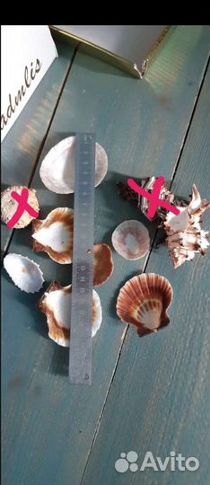 Ракушки и камешки для аквариума