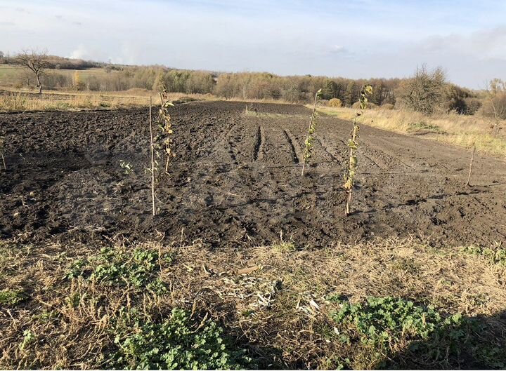 Дом 35 м² на участке 50 сот.