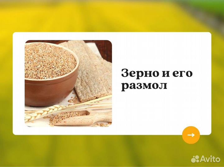 Пшеница Зерно (кг)